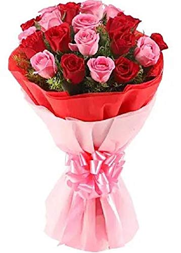 20 Red & Pink Roses